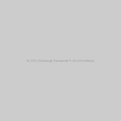 Abbexa - H(+)/Cl(-) Exchange Transporter 4 (CLC4) Antibody